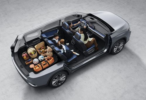 首付9900元開睿藍9即刻出發